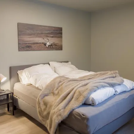 Staying 5 - New And Modern *